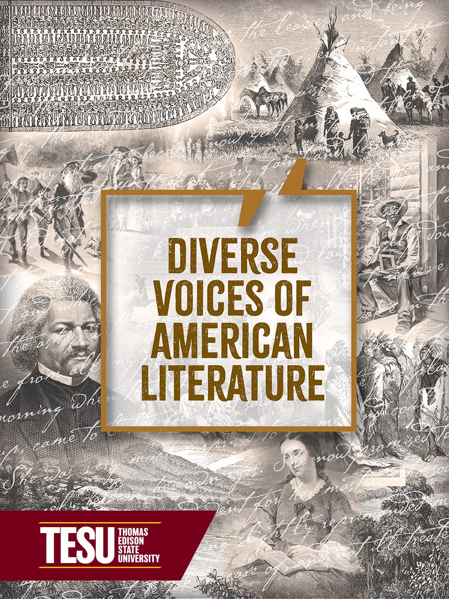 Cover image for Diverse Voices of American Literature